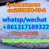 sell  high quality  Cyclohexanone  cas 2079878-75-2