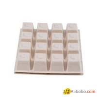 Eco Friendly Disposable  Biodegradable Square Rectangular Container