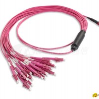 MTP/MPO HARNESS CABLE