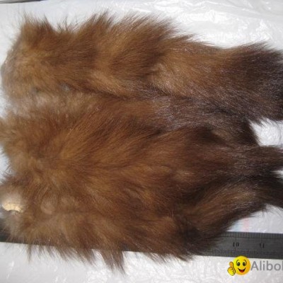 baum marten tailpicture1