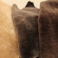 Genuine sheepskin mouton