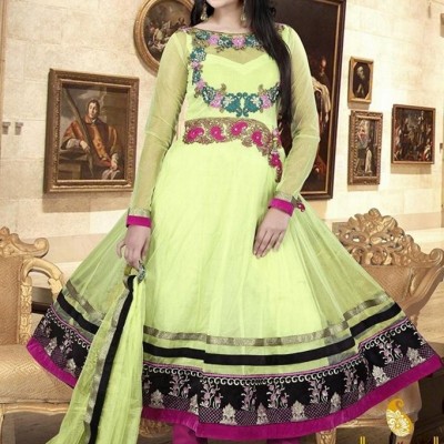 Pavitraa  Magnificient Light Green and Pink Salwar Kameezpicture1