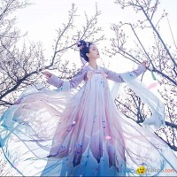 Bu Toad Hall Weijin Fenggeluan Skirt Hanfu Clothing