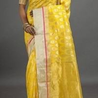 Lemon Tree Chanderi Sarees