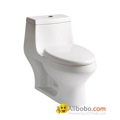 Quality Watersaving CUPC Toiletpicture1