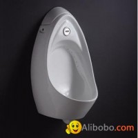 wall-hung urinal