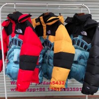 Wholesale Top THE NORTH FACE down jacket The North Face down coats for man