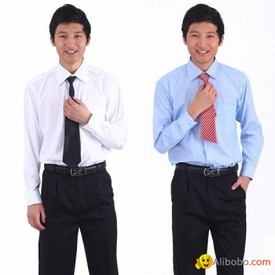 Freeshipment!male autumn business shirts .picture1