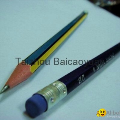 colour pencilpicture1