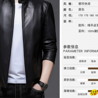 Middle-aged men's spring and autumn stand-up collar leather jacket dad wear tren