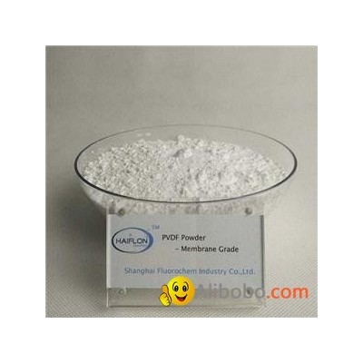 PVDFMembrane Grade-Powderpicture1