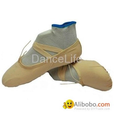 Ballet shoespicture1