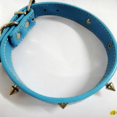 2011 light blue fashion leather dog collarpicture1