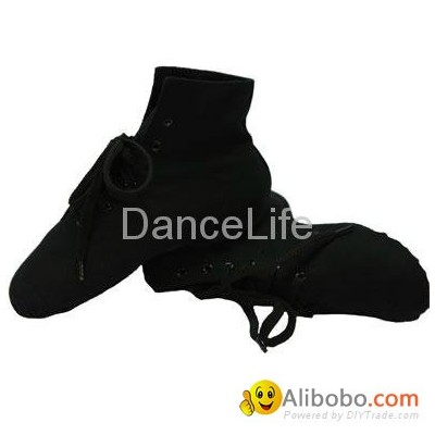 Jazz dance bootspicture1