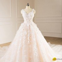 Sleeveless V-neck Bridal Dresses Lace Tulle Champagne Custom Wedding Gown E229