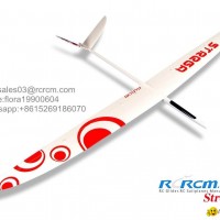 Strega 2.9m wingspan rc glider model