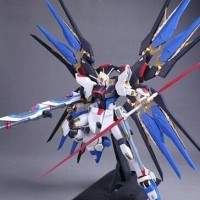 (WHOLESALE ONLY)PG 1/60 Strike Freedom FIGHTER gundam japanese model kits figure