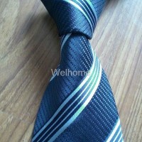 Light Blue Silk Nekctie(6821)