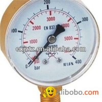 63mm Oxygen Pressure Gauge In Snap On Plastic Window