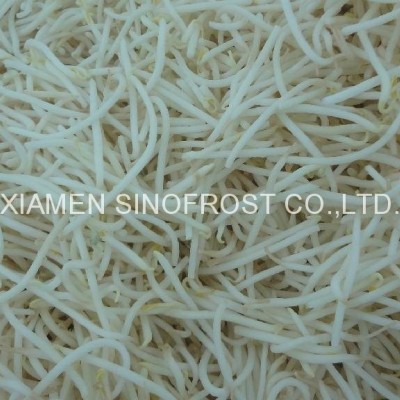 IQF mung beans sprouts,Frozen mung beans sproutspicture1