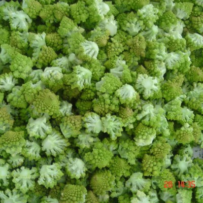 IQF Romanesco Florets,Frozen Romanesco Floretspicture1