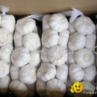 Jinxiang Pure White Garlic 1kg/mesh bag, 10kg/carton*